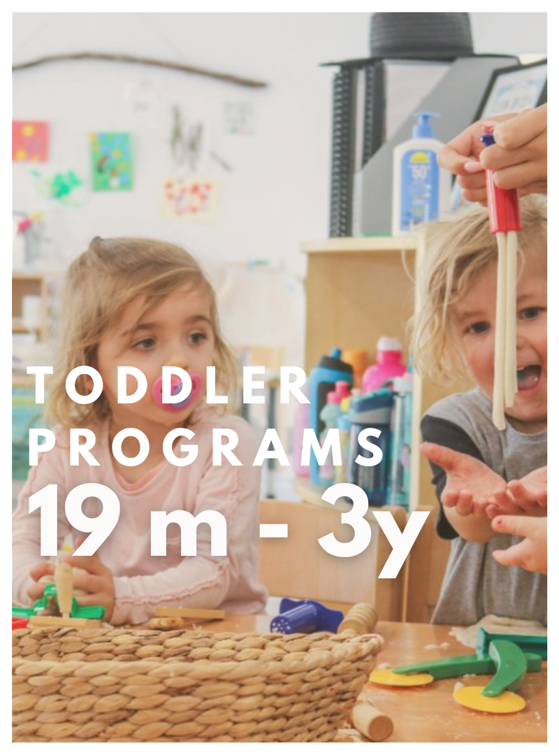 Toddler Program